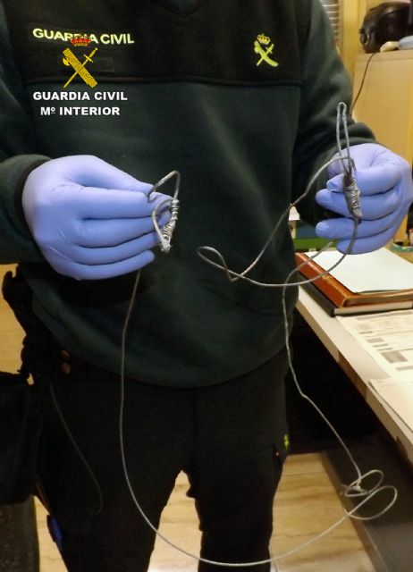 La Guardia Civil investiga al trabajador de una finca por usar trampas que le causaron la muerte a un perro en Cieza - 5, Foto 5