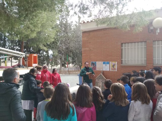 Hoteles para insectos y cajas nido para proteger la biodiversidad en los huertos escolares - 1, Foto 1