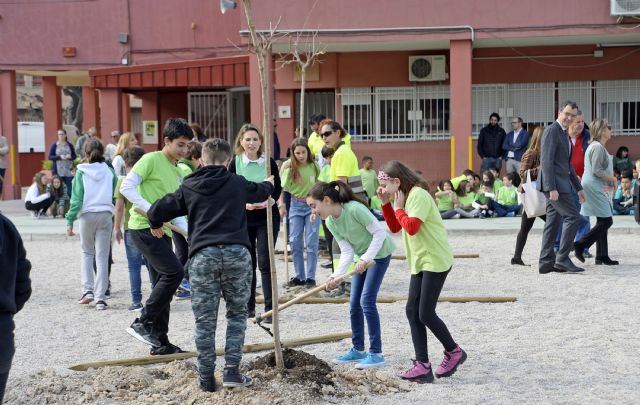 Más de 20.000 escolares de Murcia y sus pedanías disfrutarán de nuevos espacios de sombra gracias al Plan Foresta - 2, Foto 2
