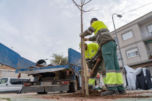 Parques y Jardines planta cerca de 200 árboles en las principales calles del municipio - 1, Foto 1