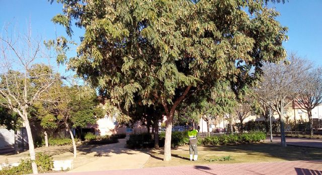 El Ayuntamiento pone a disposición de los vecinos un servicio 24 horas, 365 días, para resolver urgencias en parques y jardines - 1, Foto 1