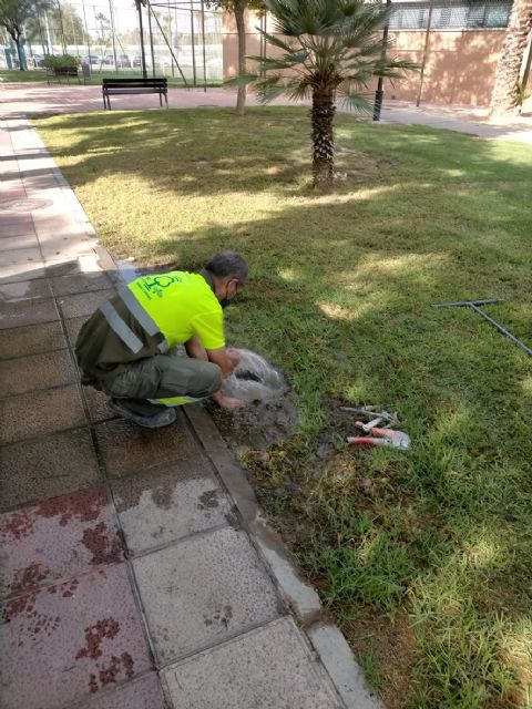 El Ayuntamiento pone a disposición de los vecinos un servicio 24 horas, 365 días, para resolver urgencias en parques y jardines - 2, Foto 2