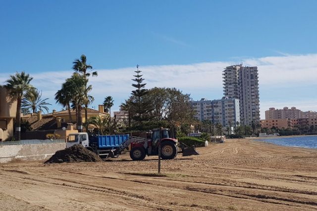 Litoral continúa con la limpieza y mantenimiento de arenales del Mar Menor retirando biomasa - 1, Foto 1