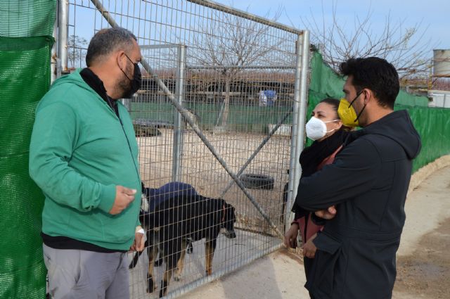 La protectora Las Torres busca voluntarios para ayudar en el centro municipal de proteccion animal - 1, Foto 1