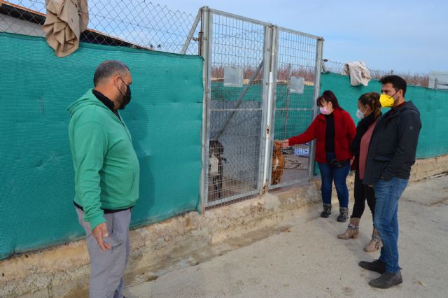 La protectora Las Torres busca voluntarios para ayudar en el centro municipal de proteccion animal - 2, Foto 2