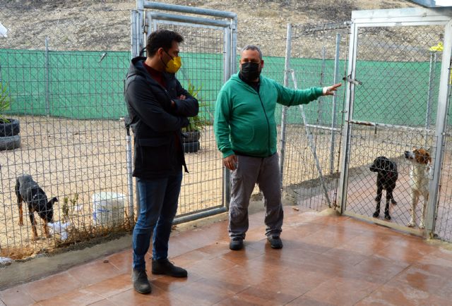 La protectora Las Torres busca voluntarios para ayudar en el centro municipal de proteccion animal - 4, Foto 4