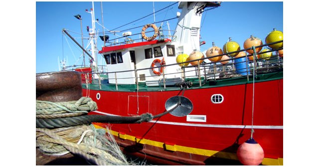 Abierto el plazo de presentación de solicitudes de las ayudas por consumo de gasóleo para buques pesqueros y almadrabas por 120 millones de euros - 1, Foto 1