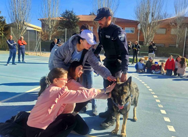 La Unidad Canina de la Policía Local de Caravaca realiza exhibiciones en los colegios del municipio - 1, Foto 1
