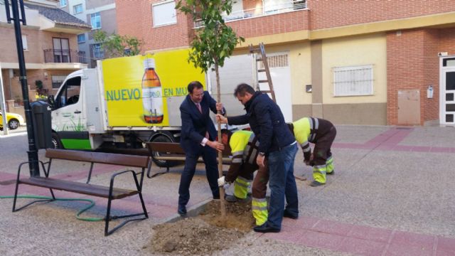 El Ayuntamiento cuida a diario más de 3.000 jardines y alineaciones de arbolado en Murcia y pedanías - 1, Foto 1