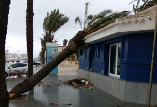 La Policia Local de Cartagena aconseja extremar precauciones ante el temporal de lluvia y viento - 1, Foto 1