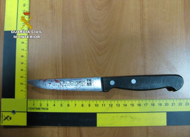 La Guardia Civil frustra el homicidio de una persona en San Pedro del Pinatar - 2, Foto 2