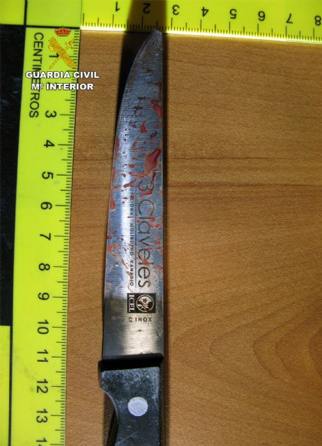 La Guardia Civil frustra el homicidio de una persona en San Pedro del Pinatar - 3, Foto 3