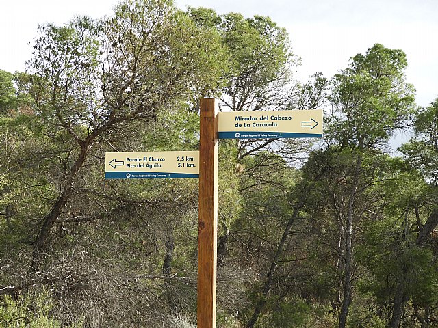 Mejoras en la finca municipal de inters ambiental “La Umbra de Carrascoy”, Foto 3