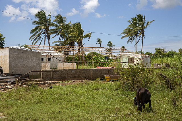 Un año después del ciclón Idai, 2,5 millones de personas en Mozambique siguen necesitando ayuda humanitaria - 1, Foto 1