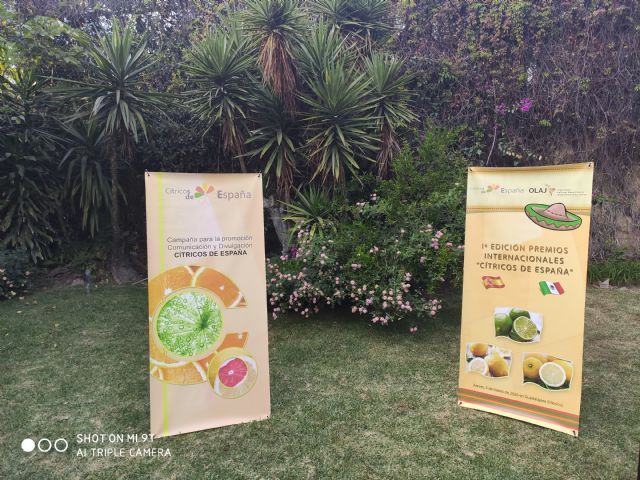 Los Premios Internacionales “Cítricos de España” triunfan y tiene “gran éxito” en México - 2, Foto 2