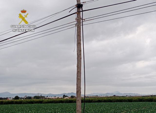 La Guardia Civil desmantela un grupo criminal al que atribuye una veintena de robos de cable telefónico en la comarca del Campo de Cartagena - 3, Foto 3