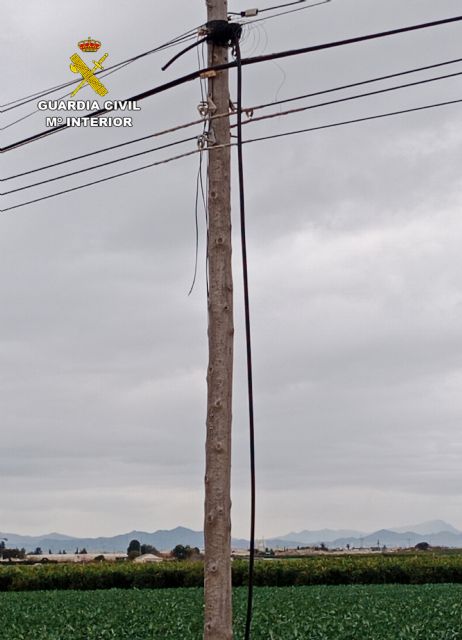 La Guardia Civil desmantela un grupo criminal al que atribuye una veintena de robos de cable telefónico en la comarca del Campo de Cartagena - 4, Foto 4