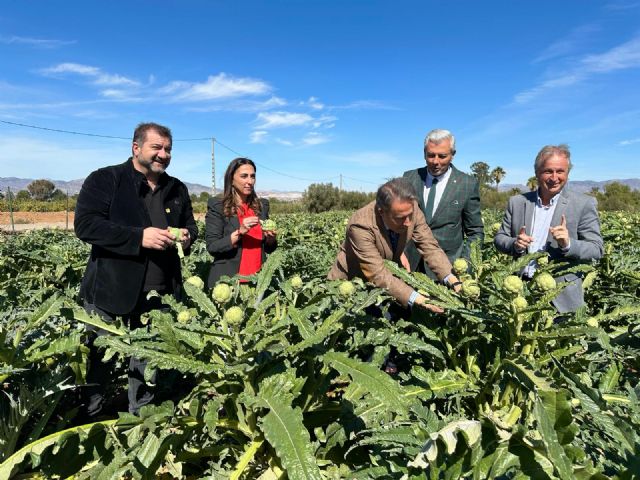 El colmo de los colmos llega a Lorca - 2, Foto 2