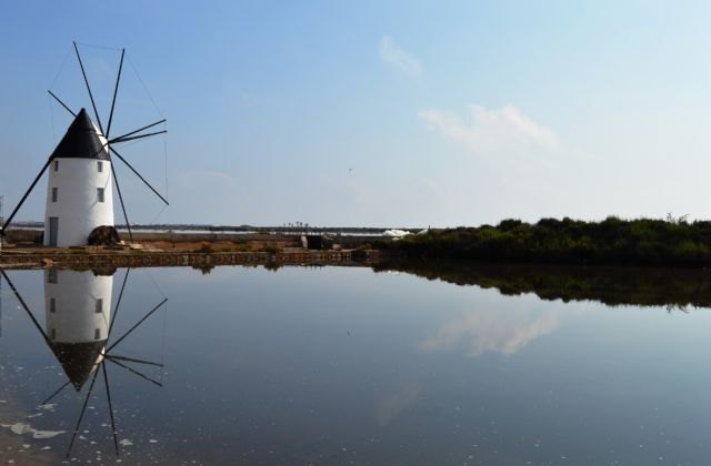El camino Entre Molinos, la Senda de los Tarays y De lo Urbano a lo Natural, reconocidos con el distintivo Sendero Azul - 1, Foto 1