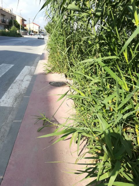 Ahora Murcia pide limpieza, seguridad y movilidad dignas en la calle Taller de Patiño - 4, Foto 4