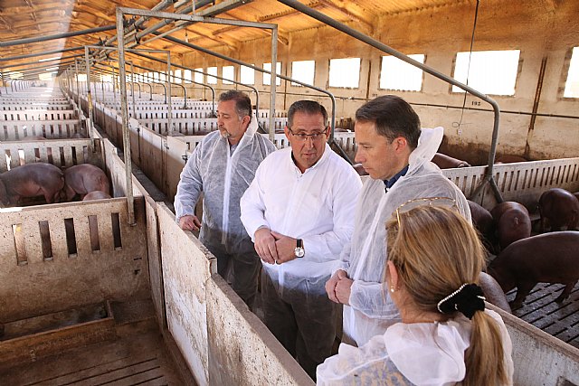 El Alcalde destaca el enorme esfuerzo realizado por los profesionales del porcino, que han impulsado a Lorca como referencia internacional en producción e investigación - 1, Foto 1