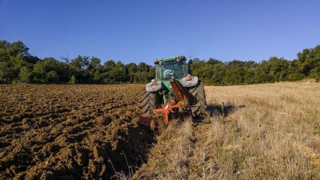 Cómo puedo ofrecerme para trabajar en el sector agrario? - 1, Foto 1
