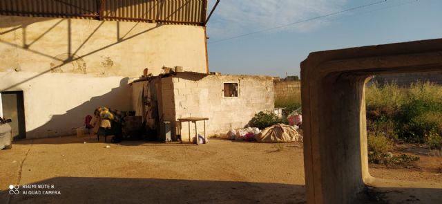 Medidas extraordinarias desde Servicios Sociales de Torre Pacheco - 2, Foto 2