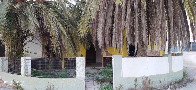 Medidas extraordinarias desde Servicios Sociales de Torre Pacheco - 4, Foto 4