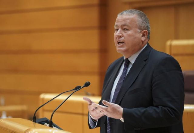 Bernabé: El incumplimiento de Sánchez de no dar el fondo de ayudas abocará al cierre a las empresas municipales de transporte y dejará a miles de viajeros sin servicios - 1, Foto 1