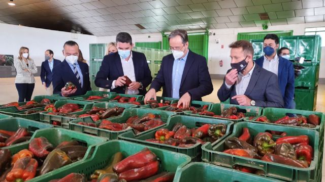 La calidad del pimiento de la Región permite su consolidación en mercados europeos y aumentar las ventas por exportaciones un 8 por ciento - 1, Foto 1