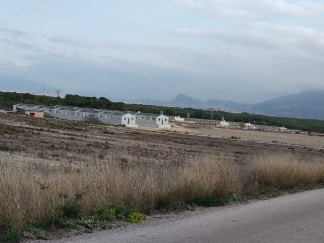 Ecologistas en Acción presenta alegaciones a dos nuevas ampliaciones de macrogranjas en Fuente Álamo - 1, Foto 1