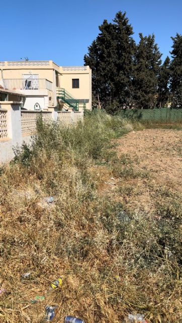 MC: Otro logro de ´La Trinca´: las garrapatas invaden plazas y calles de La Palma - 2, Foto 2