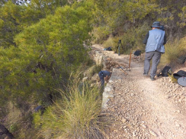 Protección y recuperación de los antiguos bancales de cultivo de Sierra Espuña - 1, Foto 1