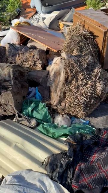 El PSOE exige duplicar el presupuesto para mantener limpios los solares públicos ante el riesgo de incendios y plagas de insectos - 3, Foto 3