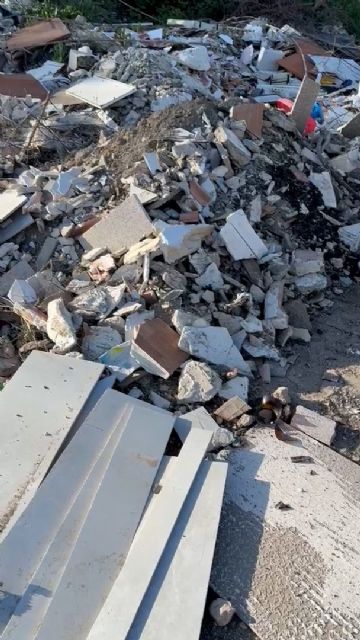 El PSOE exige duplicar el presupuesto para mantener limpios los solares públicos ante el riesgo de incendios y plagas de insectos - 4, Foto 4