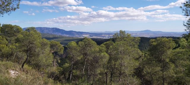 Denuncian ante Fiscalía una posible prevaricación por desproteger Sierra Espuña - 2, Foto 2