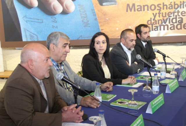 Puerto Lumbreras cuenta con una nueva guía de visita del Castillo de Nogalte - 1, Foto 1