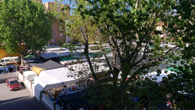 Ciudadanos arremete contra la situación del arbolado en el municipio de Cartagena y pide soluciones urgentes - 1, Foto 1