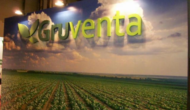 Muy “buenas expectativas” en la campaña de melón para GRUVENTA - 2, Foto 2