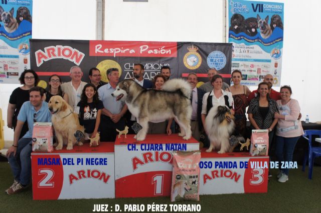 El Día de Perro reconoce la labor de Quinto, perro de rescate de la UME, y de la protectora de Los Belones - 1, Foto 1