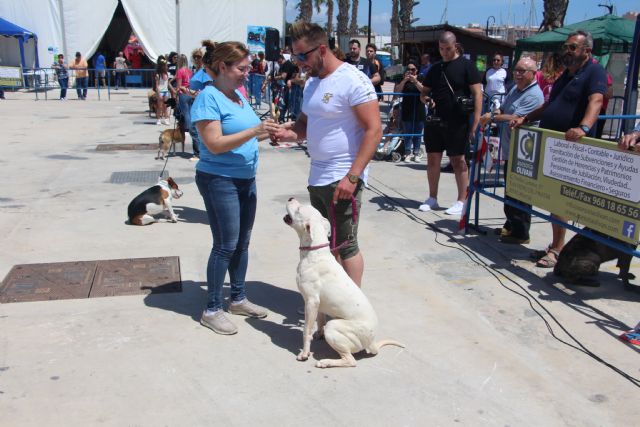 El Día de Perro reconoce la labor de Quinto, perro de rescate de la UME, y de la protectora de Los Belones - 4, Foto 4
