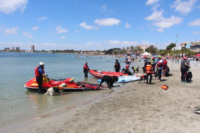 El Día de Perro reconoce la labor de Quinto, perro de rescate de la UME, y de la protectora de Los Belones - 5, Foto 5