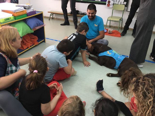 El aula abierta del CEIP Joaquín Carrión y Aidemar participan con éxito en un proyecto de terapia con perros - 3, Foto 3
