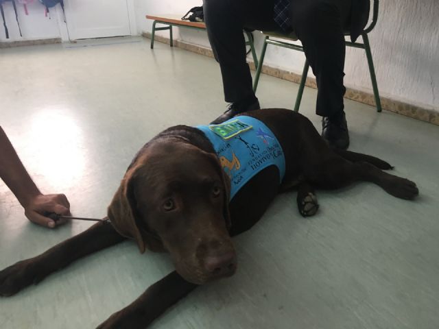 El aula abierta del CEIP Joaquín Carrión y Aidemar participan con éxito en un proyecto de terapia con perros - 4, Foto 4