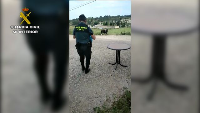 La Guardia Civil auxilia a un pony atado al sol sin agua - 1, Foto 1