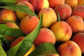 ASAJA Murcia reclama una interprofesional para la fruta de hueso española - 1, Foto 1