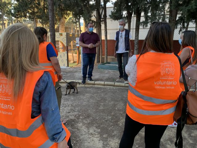 La Concejalía de Bienestar Animal pone en marcha el programa de control de colonias felinas - 1, Foto 1