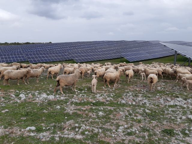 Iberdrola busca soluciones colaborativas para combinar la agricultura y las plantas fotovoltaicas - 1, Foto 1