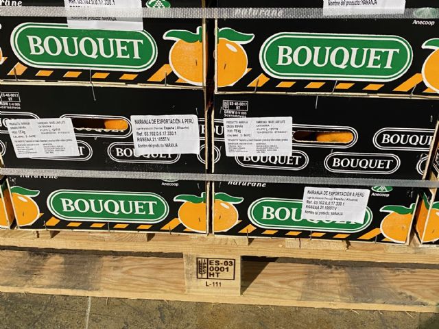 Anecoop abre via comercial con Perú al enviar el primer contenedor de naranjas desde España - 2, Foto 2