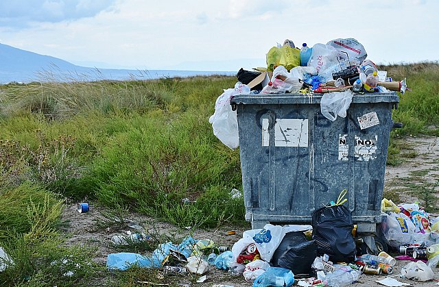 Los españoles aprueban con un cinco raspado en reciclaje - 1, Foto 1